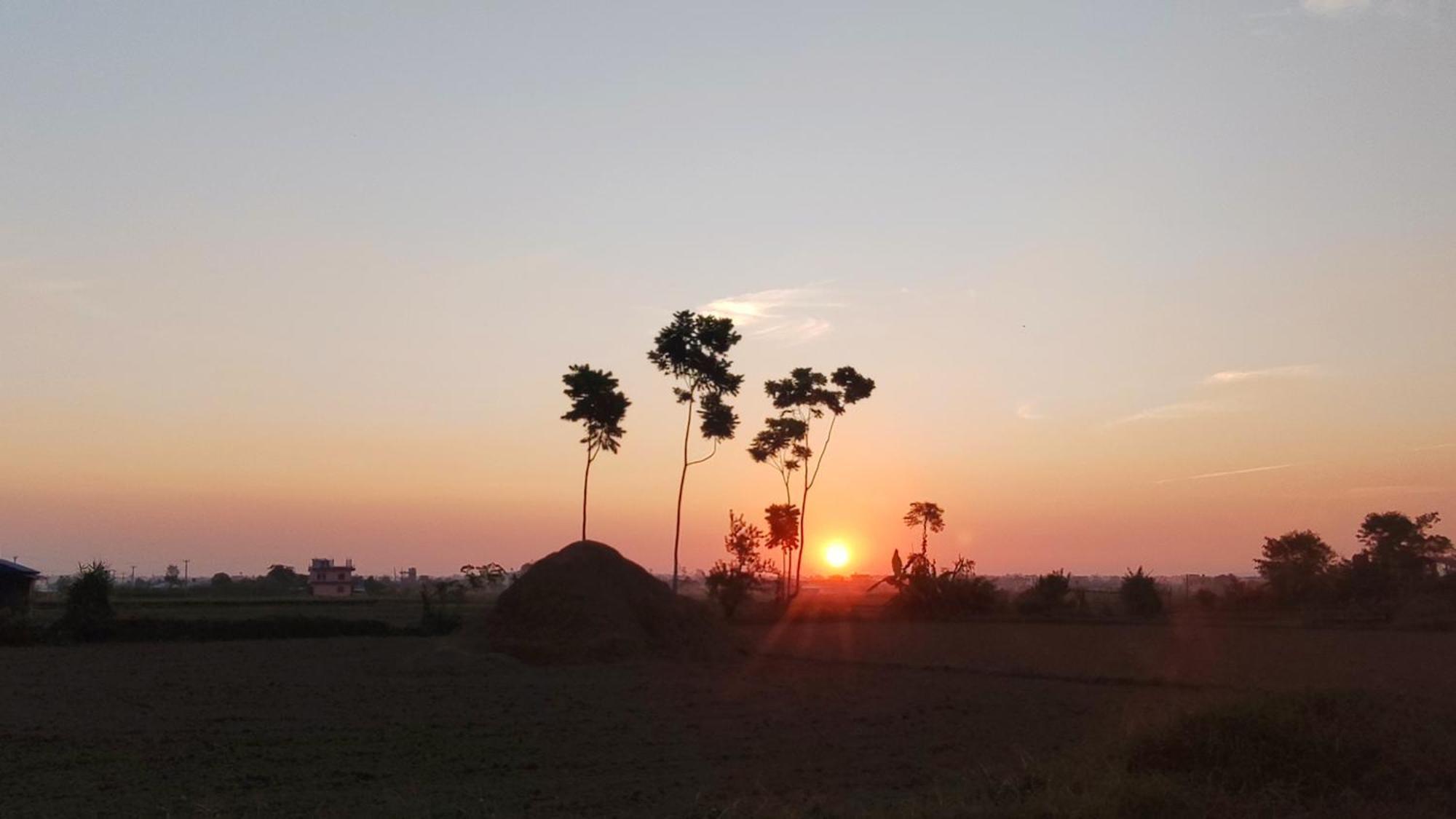 Hotel Rhino Land, Sauraha Luaran gambar